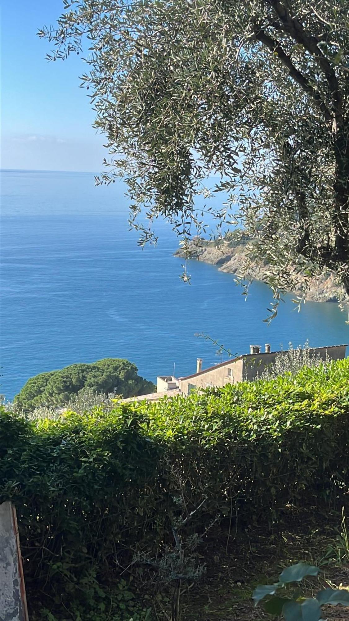 Casa Orchidea - Vista Mare Meravigliosa Bonassola Exterior foto
