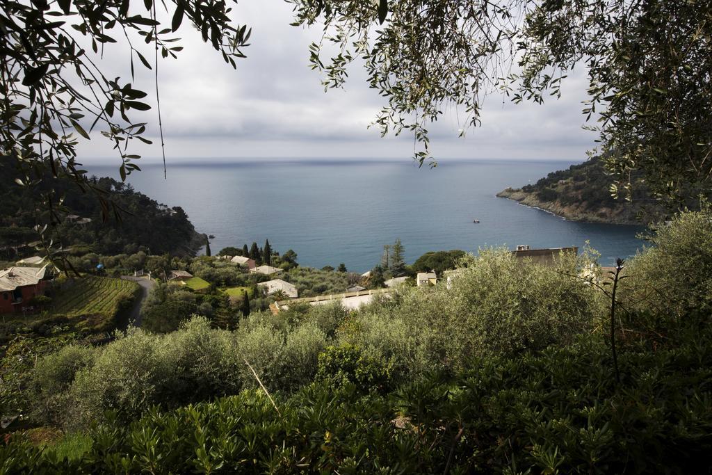 Casa Orchidea - Vista Mare Meravigliosa Bonassola Habitación foto